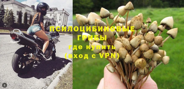 дживик Алексеевка