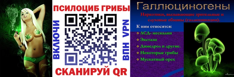 Галлюциногенные грибы Psilocybe  Поронайск 